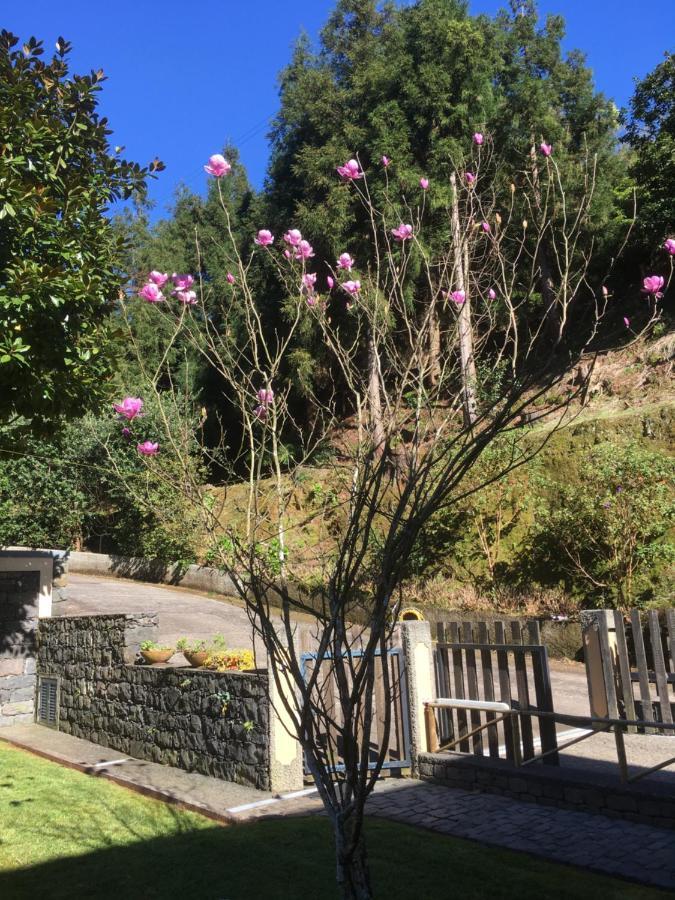 Quiet Place Apartment Machico (Madeira)